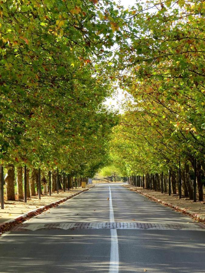 Appartement Amira Ifrane إفران المظهر الخارجي الصورة